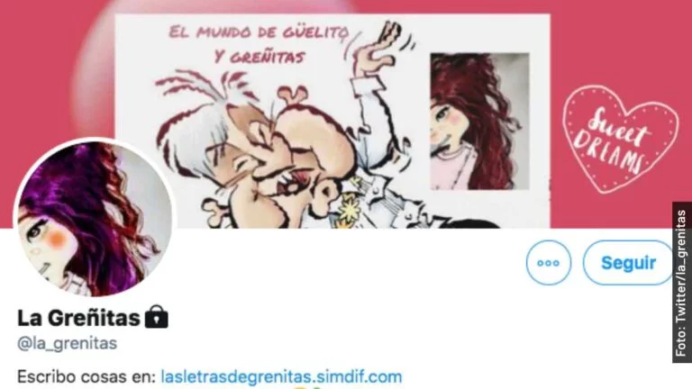 Quién es La Greñitas, la activista en Twitter